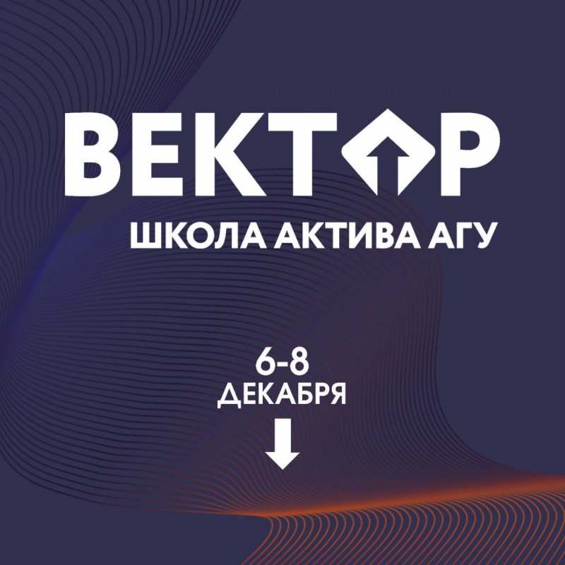 Школа актива «Вектор» Школа актива «Вектор»