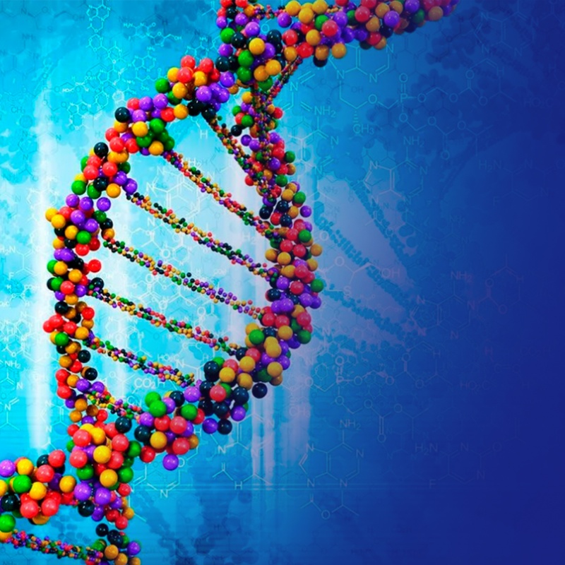 Научно-образовательный курс «Генетика»