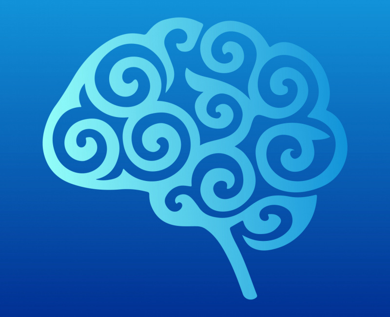 The 1st Caucasian School of Experimental Research and Cognitive Sciences