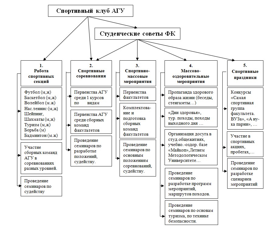 Спортклуб структура